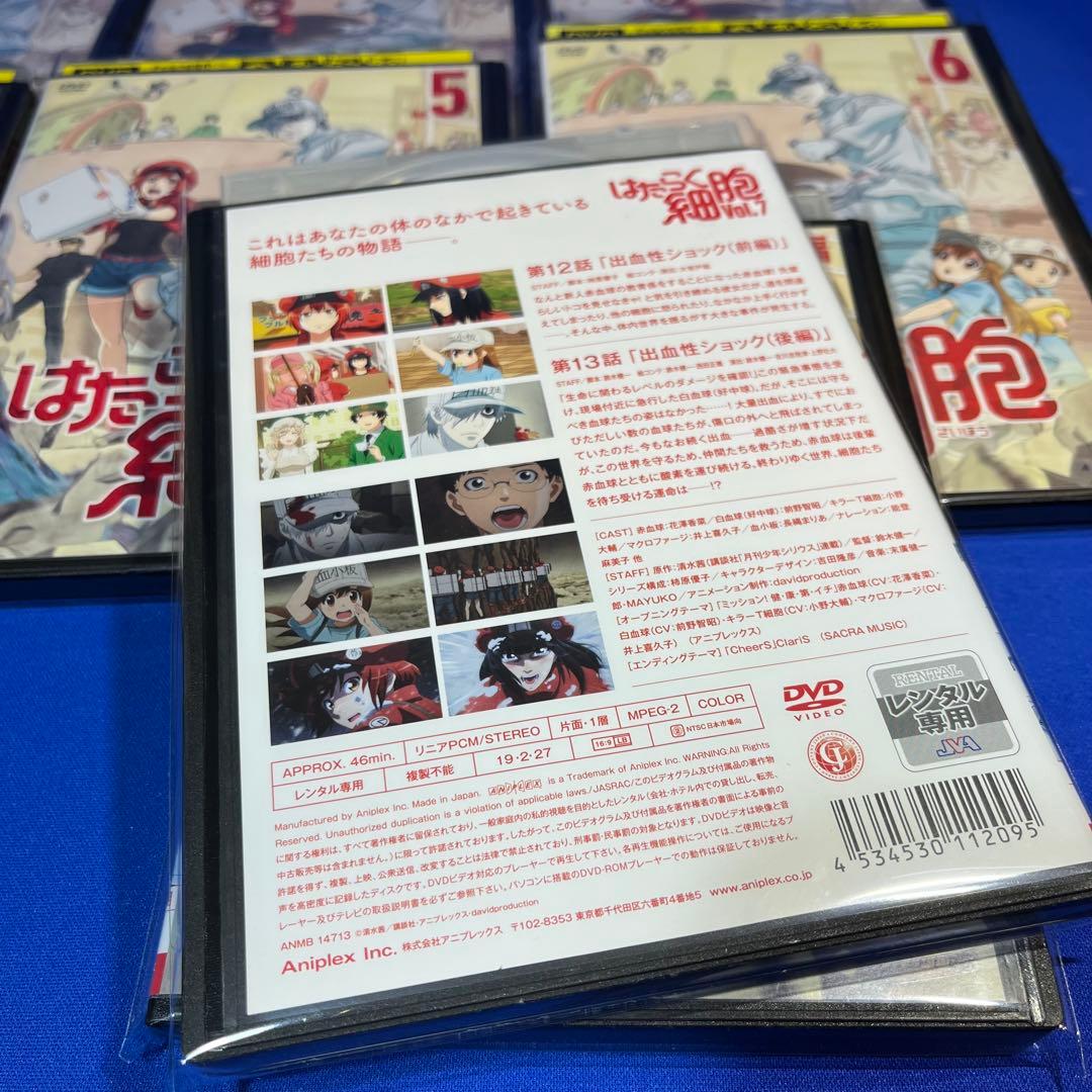 はたらく細胞【DVD】全巻完結　19枚【レンタルアップ】