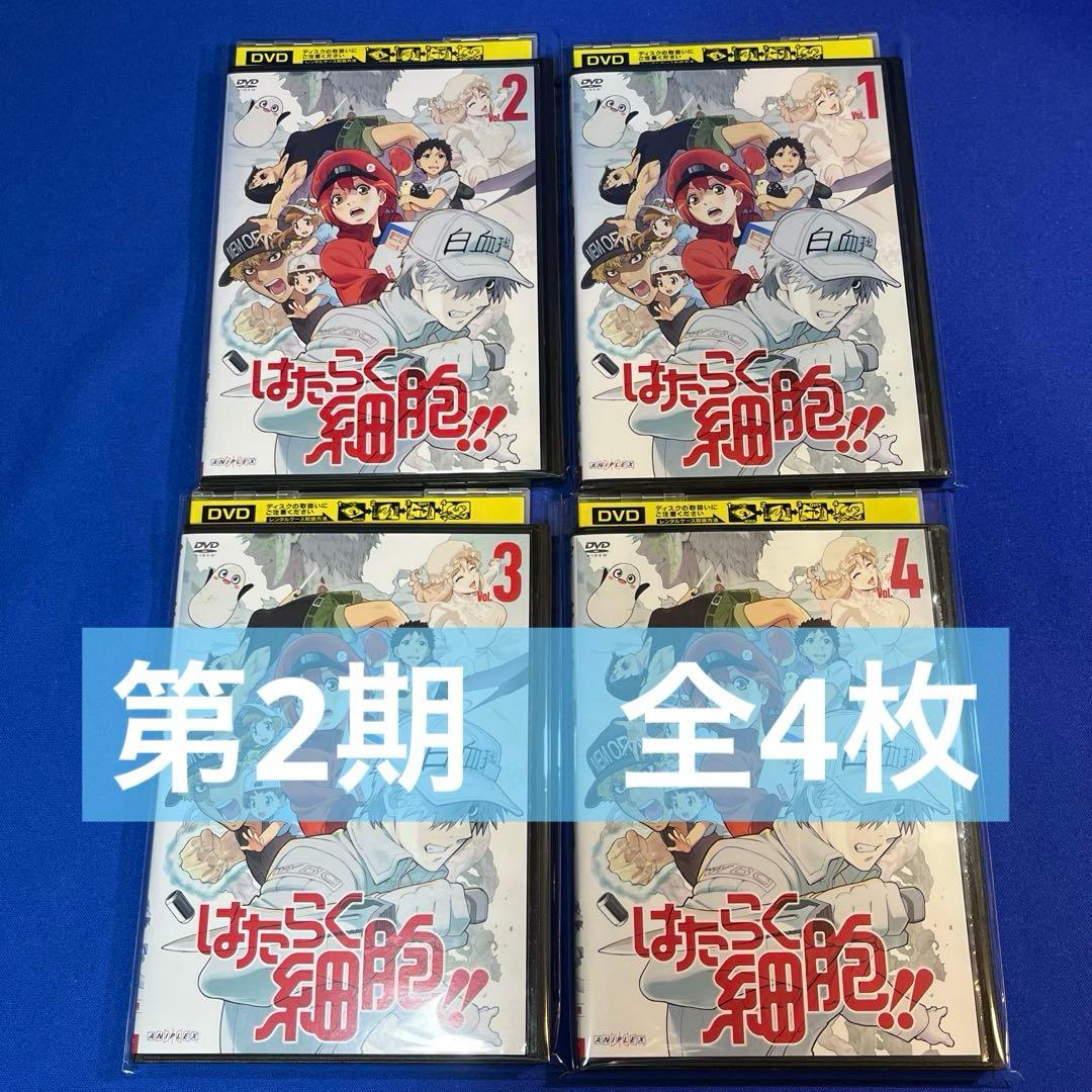 はたらく細胞【DVD】全巻完結　19枚【レンタルアップ】