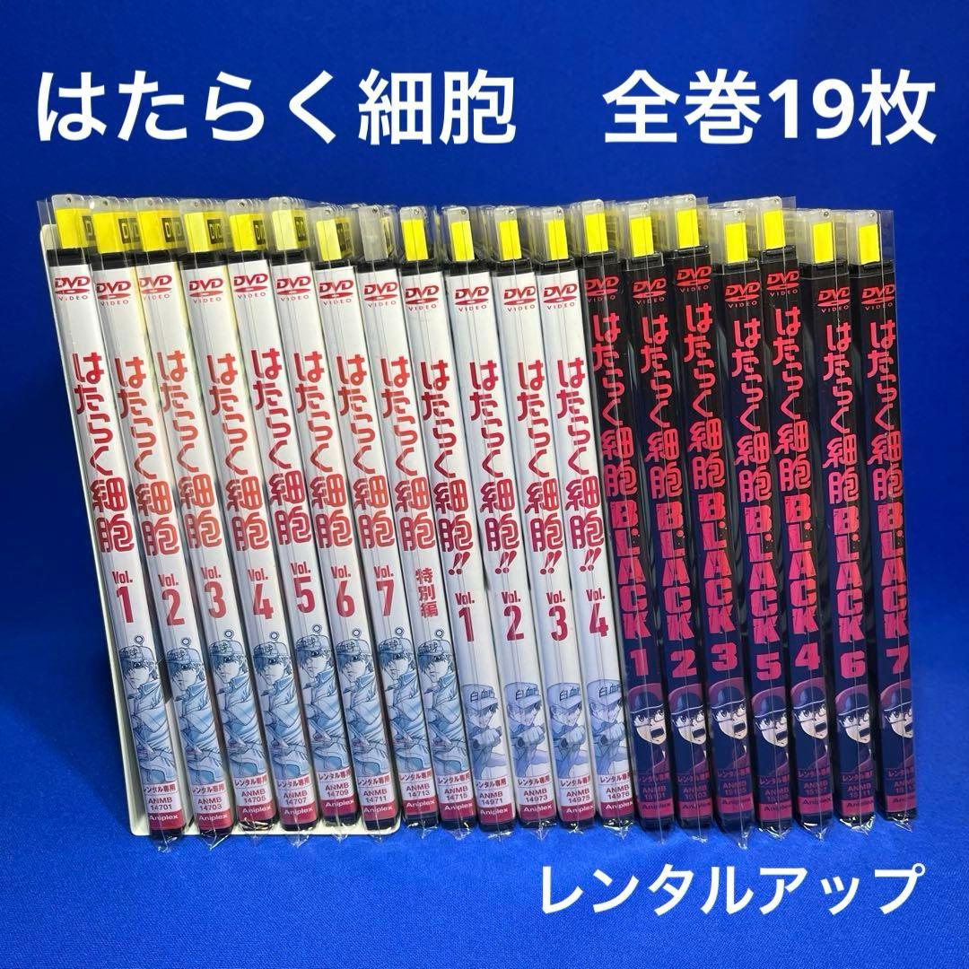 はたらく細胞【DVD】全巻完結　19枚【レンタルアップ】