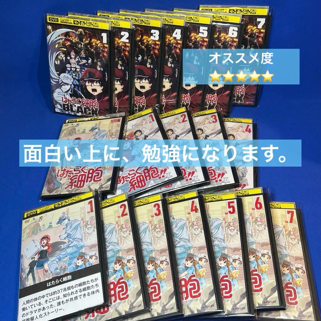 はたらく細胞【DVD】全巻完結　19枚【レンタルアップ】