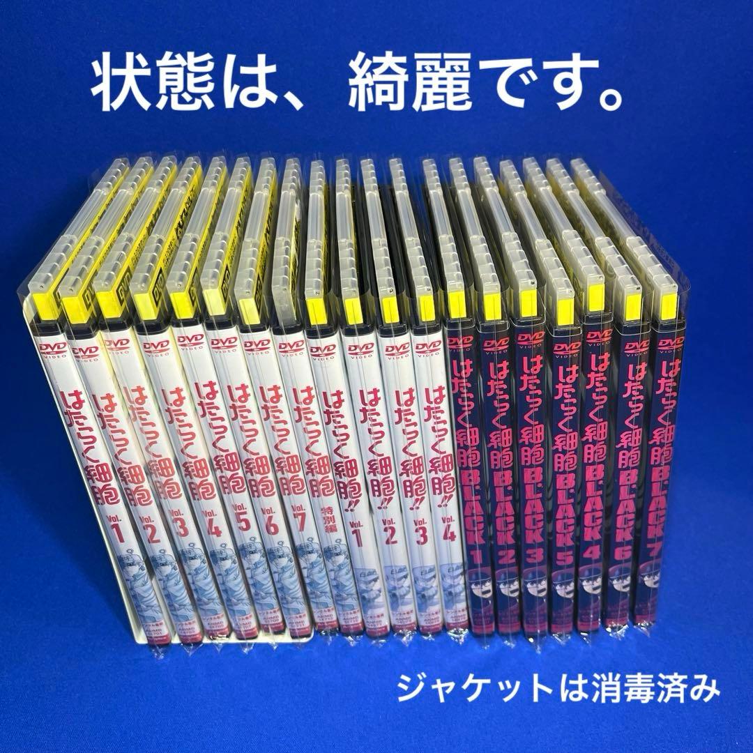 はたらく細胞【DVD】全巻完結　19枚【レンタルアップ】