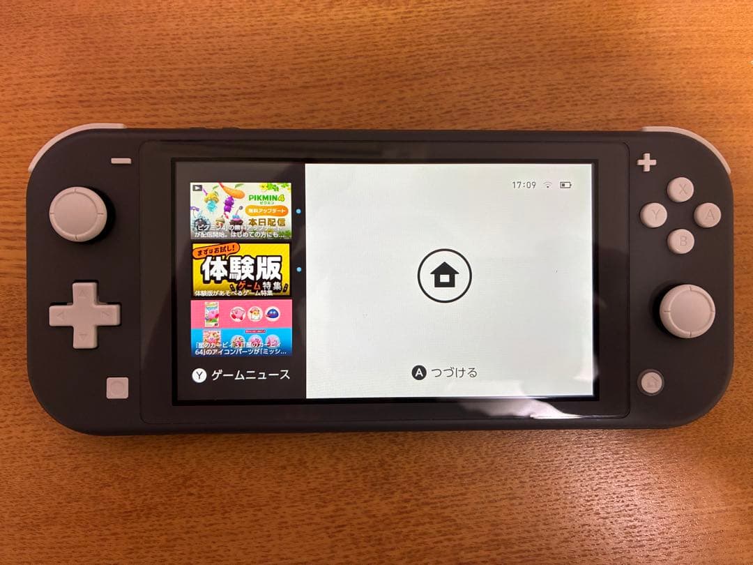 【美品】Nintendo Switch Liteグレー 、純正ケース、SDカード