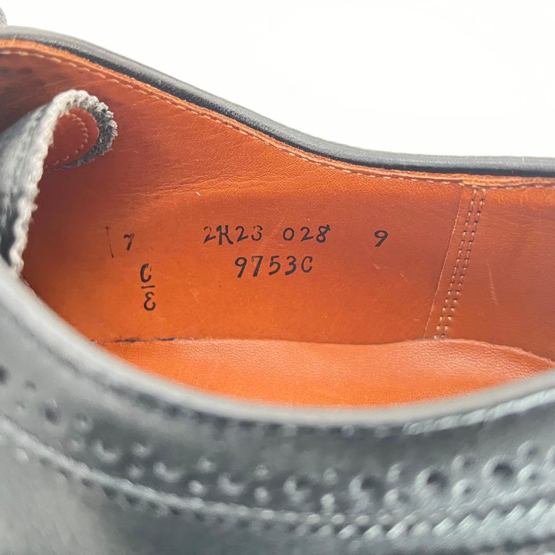 ALDEN オールデン 9753 ロングウィングチップ コマンドソール