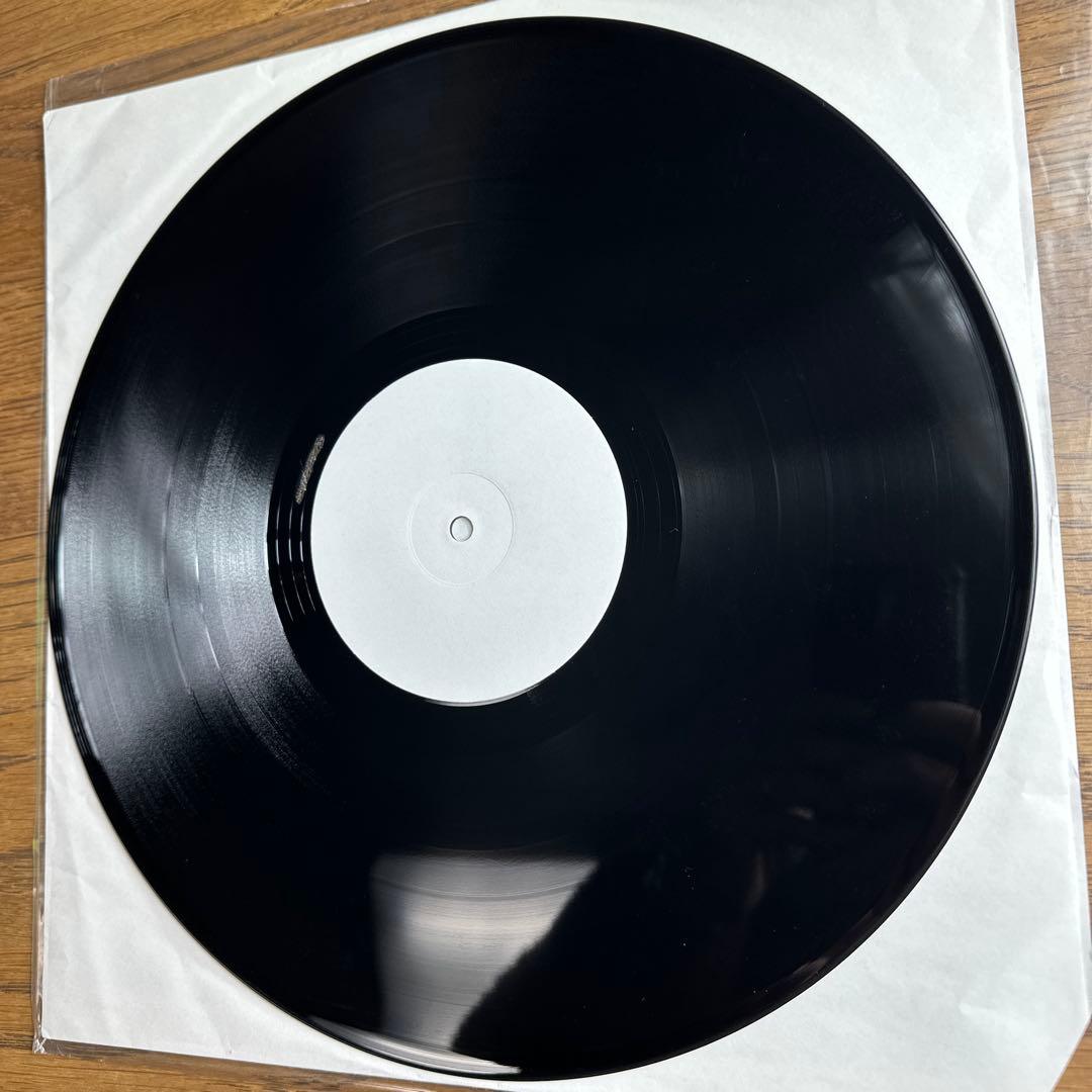 【超希少】 THE STALIN - TRASH LP