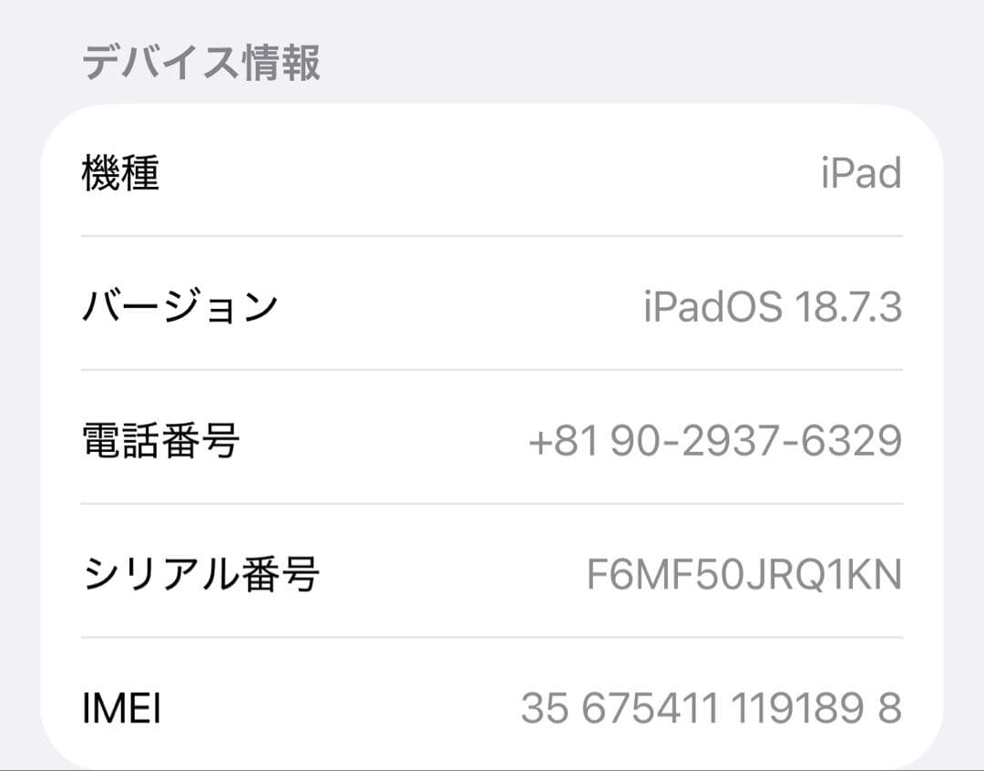 iPad 第8世代 WiFi+Celluler 32GB 動作確認済　シルバー