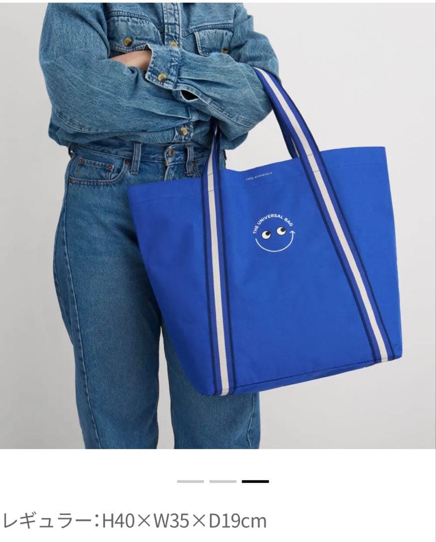 新品未使用タグ付 アニヤハインドマーチ Universal Bag Boots