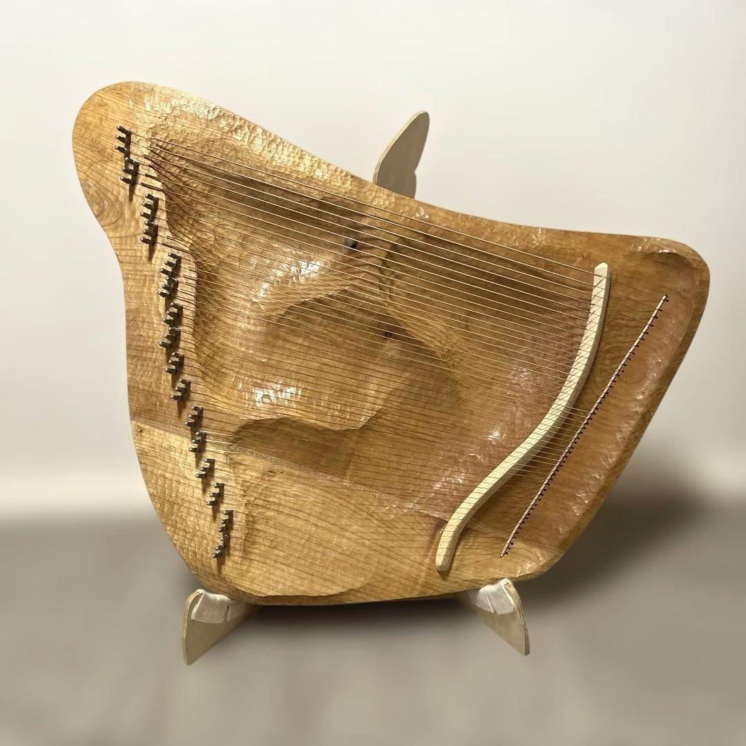 【送料無料】タオライアー　ソウルサウンドライアー