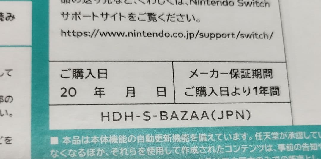 Nintendo Switch Lite ターコイズ（ケース付）