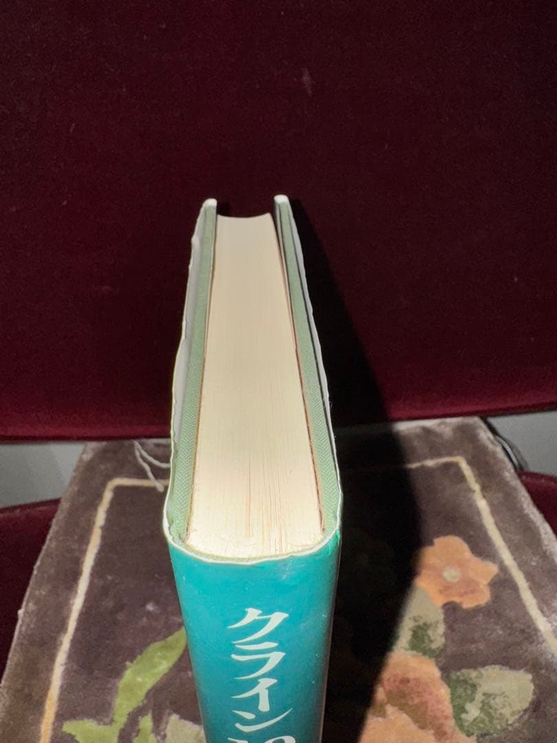 【初版第１刷】クライン19世紀の数学