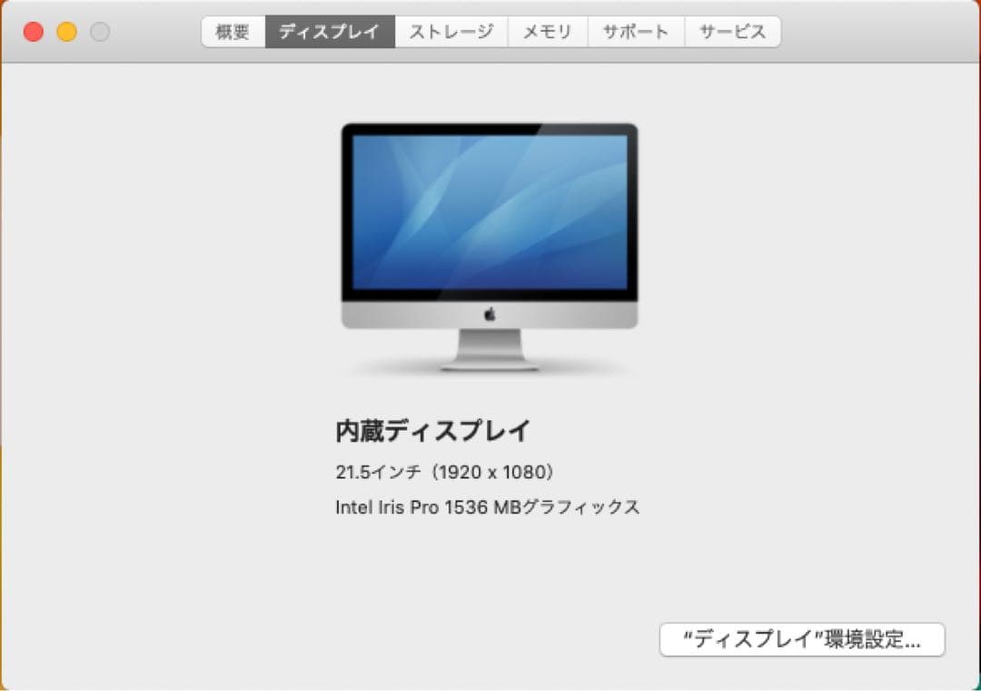 iMac (21.5-inch, Late 2013) 本体 SSD