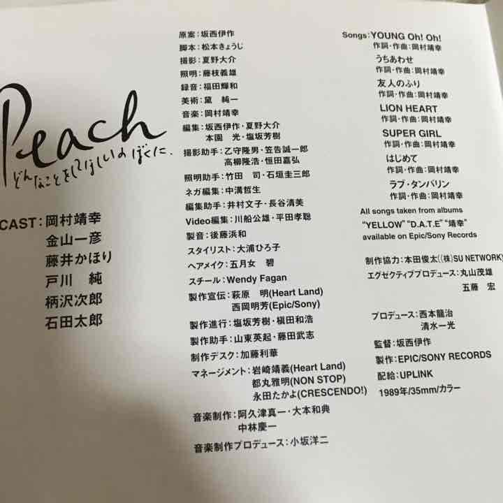 岡村靖幸DVD「家庭教師」「Peachどんなことをしてほしいのぼくに」2枚セット
