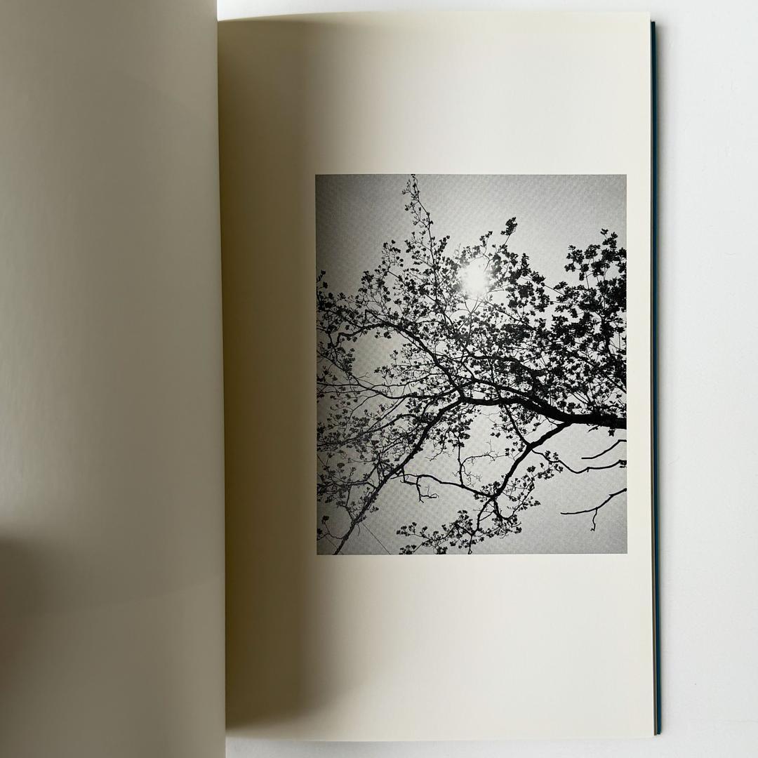 アート・デザイン・音楽 LIGHT SOURCES by JAMES WELLING