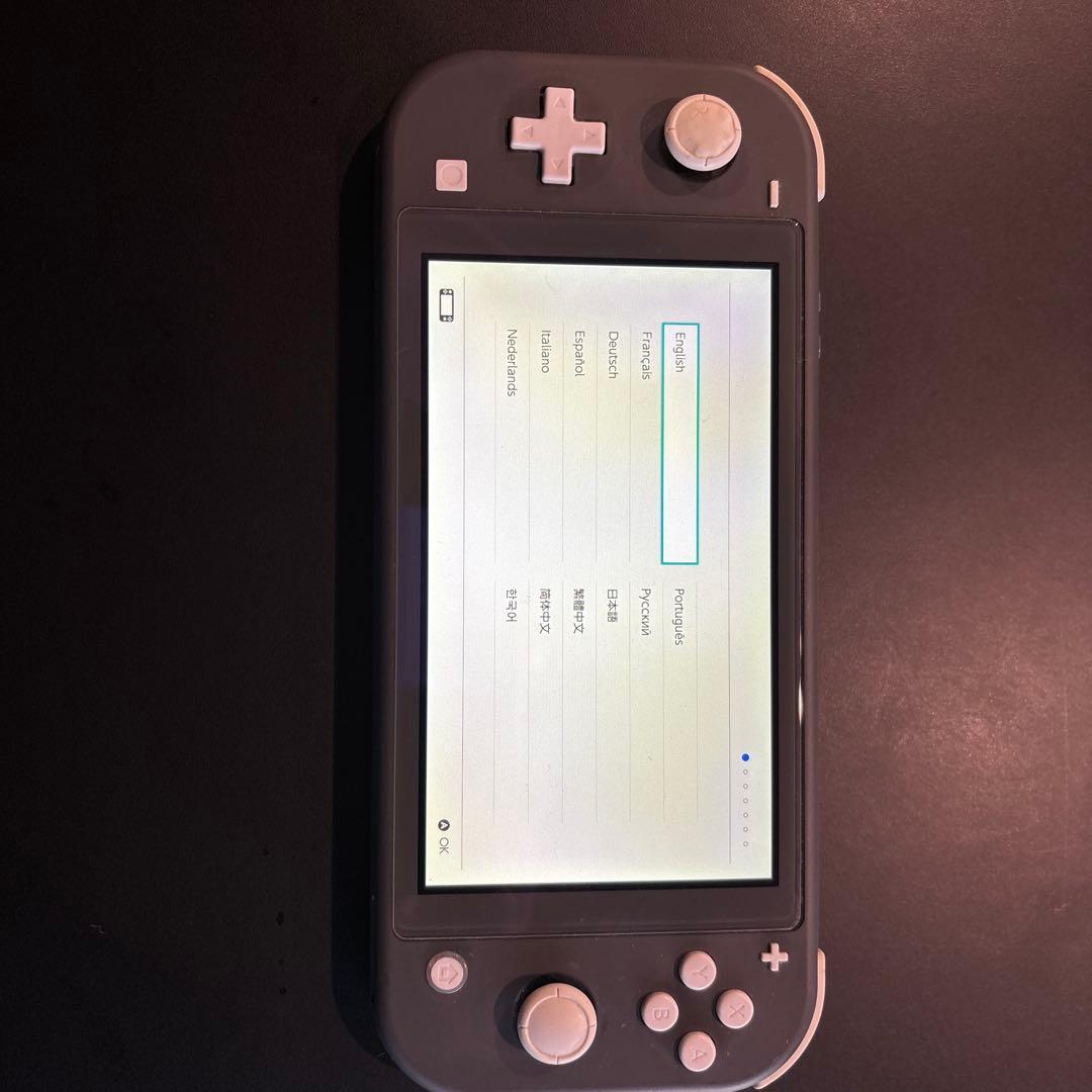 Nintendo Switch Lite グレー 本体 充電器付き　箱無