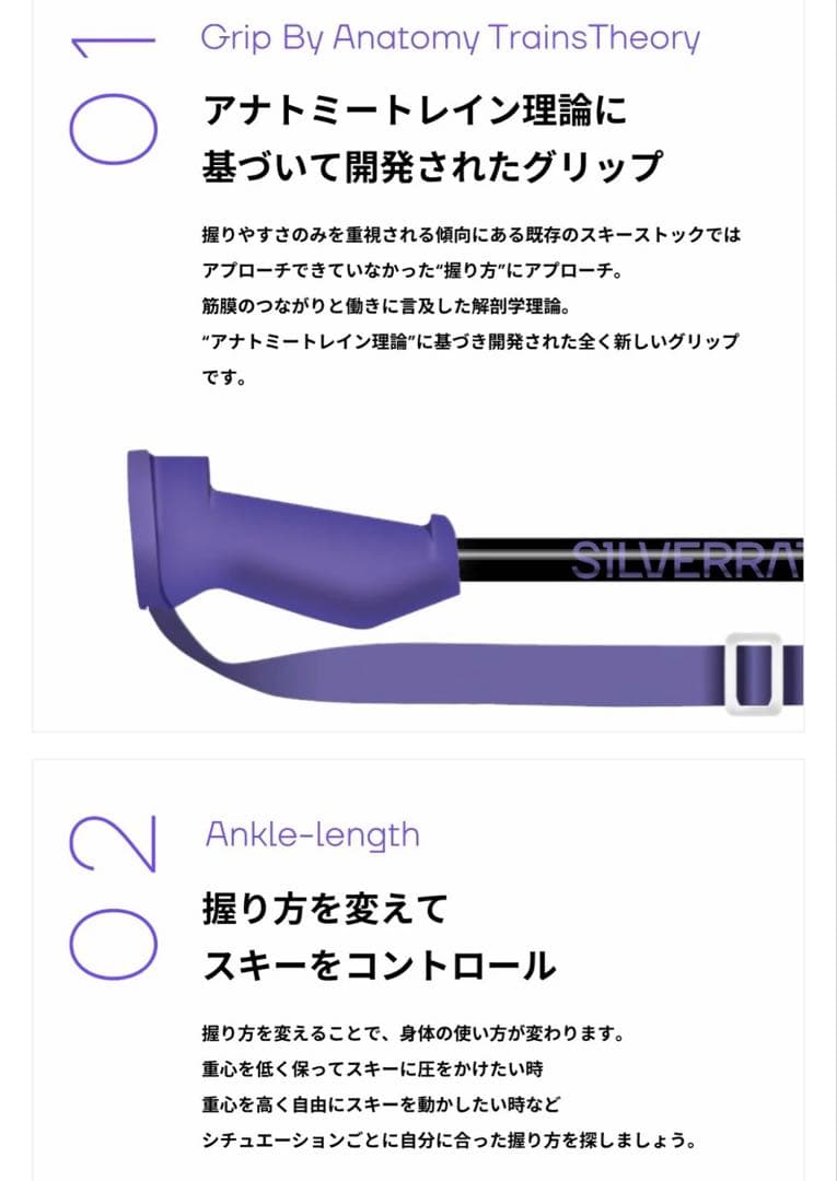 スキー SILVERRATIOO Performance Stock