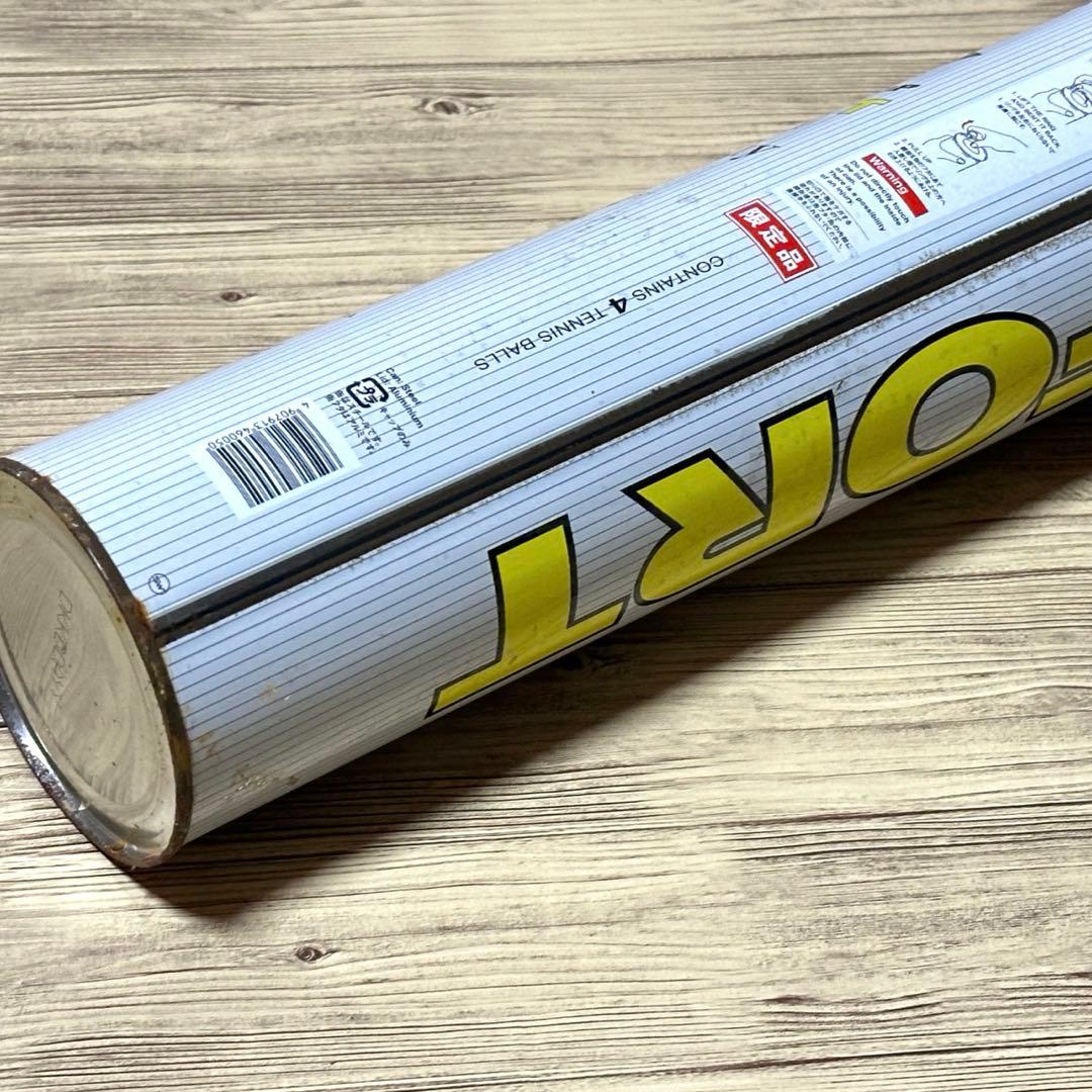 FORT テニスボール 16本セット