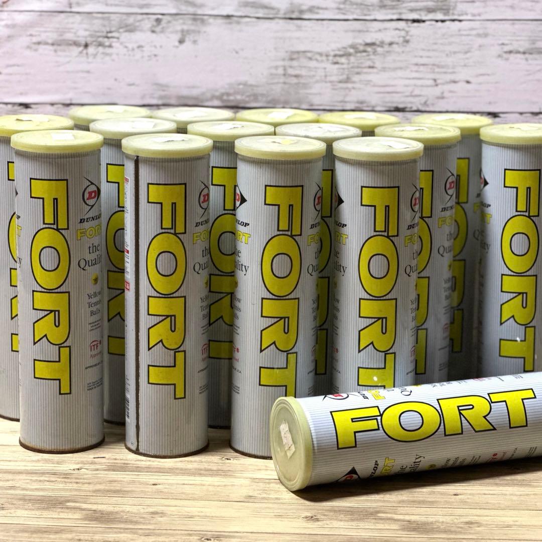 FORT テニスボール 16本セット