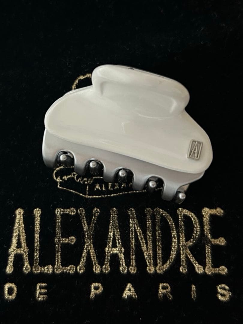 新品 ALEXANDRE DE PARIS ヴァンドームクリップ　1.8㎝2個