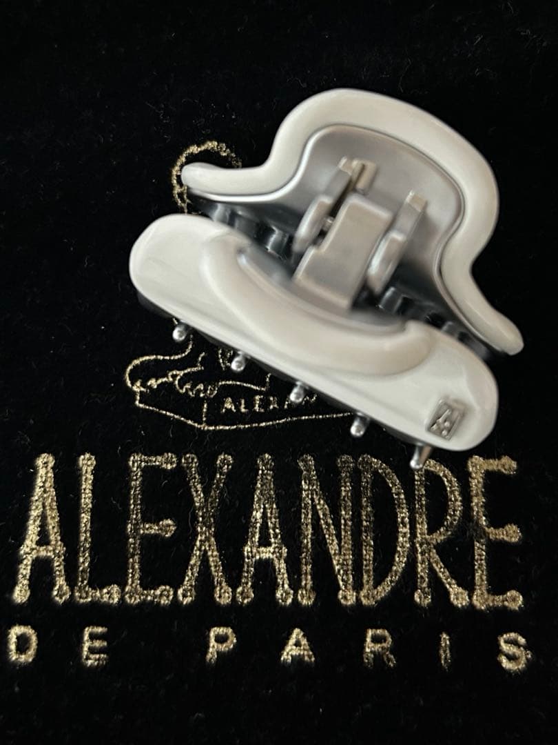 新品 ALEXANDRE DE PARIS ヴァンドームクリップ　1.8㎝2個