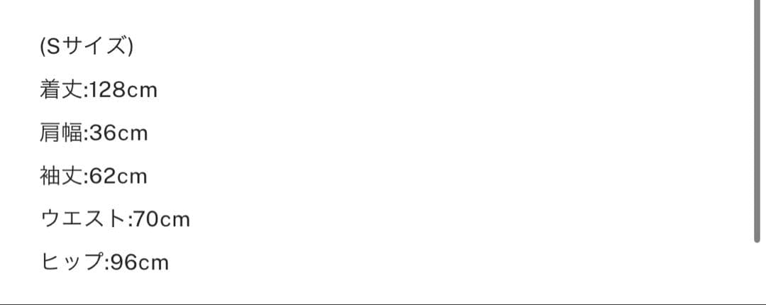 AMERI VINTAGE ／アメリ／ベロアドレス／オケージョンドレス/ S