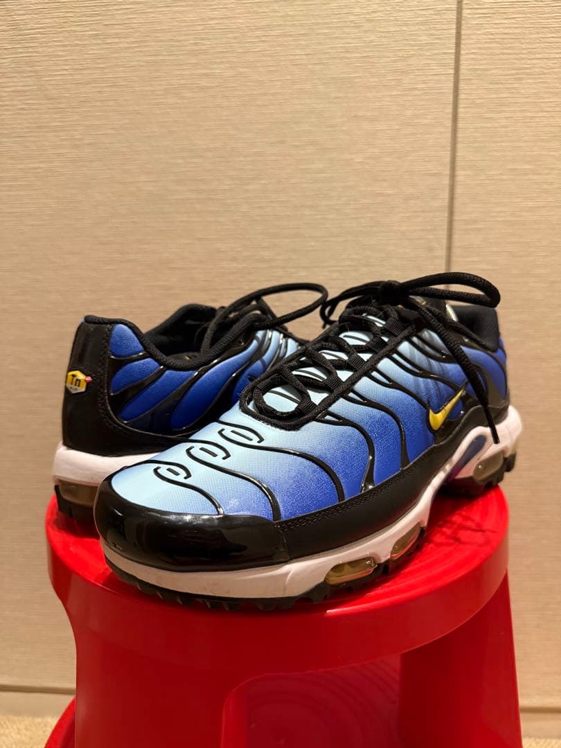 n*u様 NIKE AIR MAX PLUS G シューズ FZ4150-400