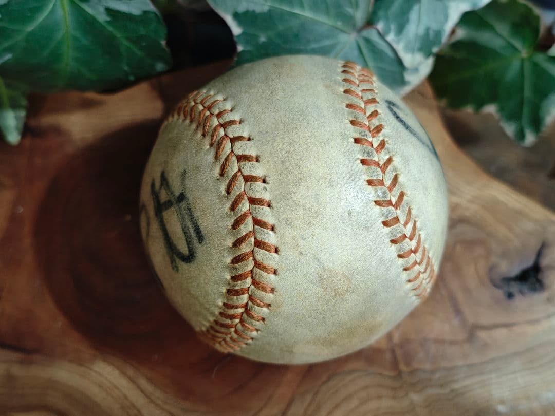 長嶋茂雄・王貞治 サインボール／直筆／野球 記念品