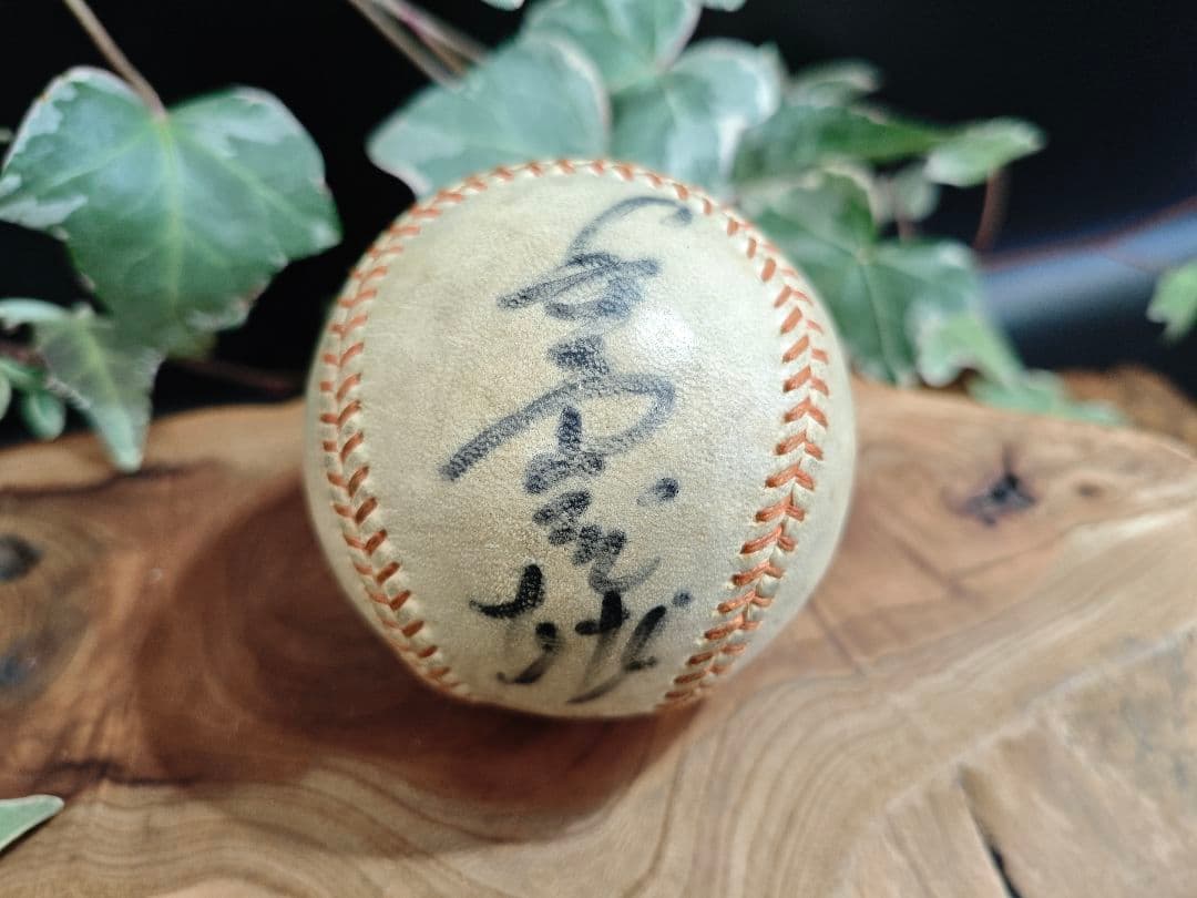 長嶋茂雄・王貞治 サインボール／直筆／野球 記念品