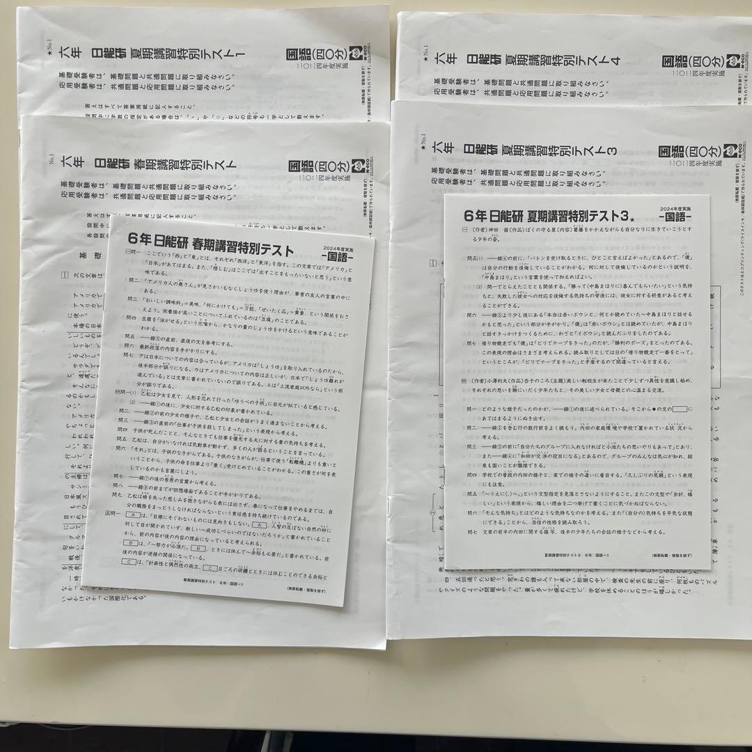 日能研 6年生 2024年 学習力育成テスト