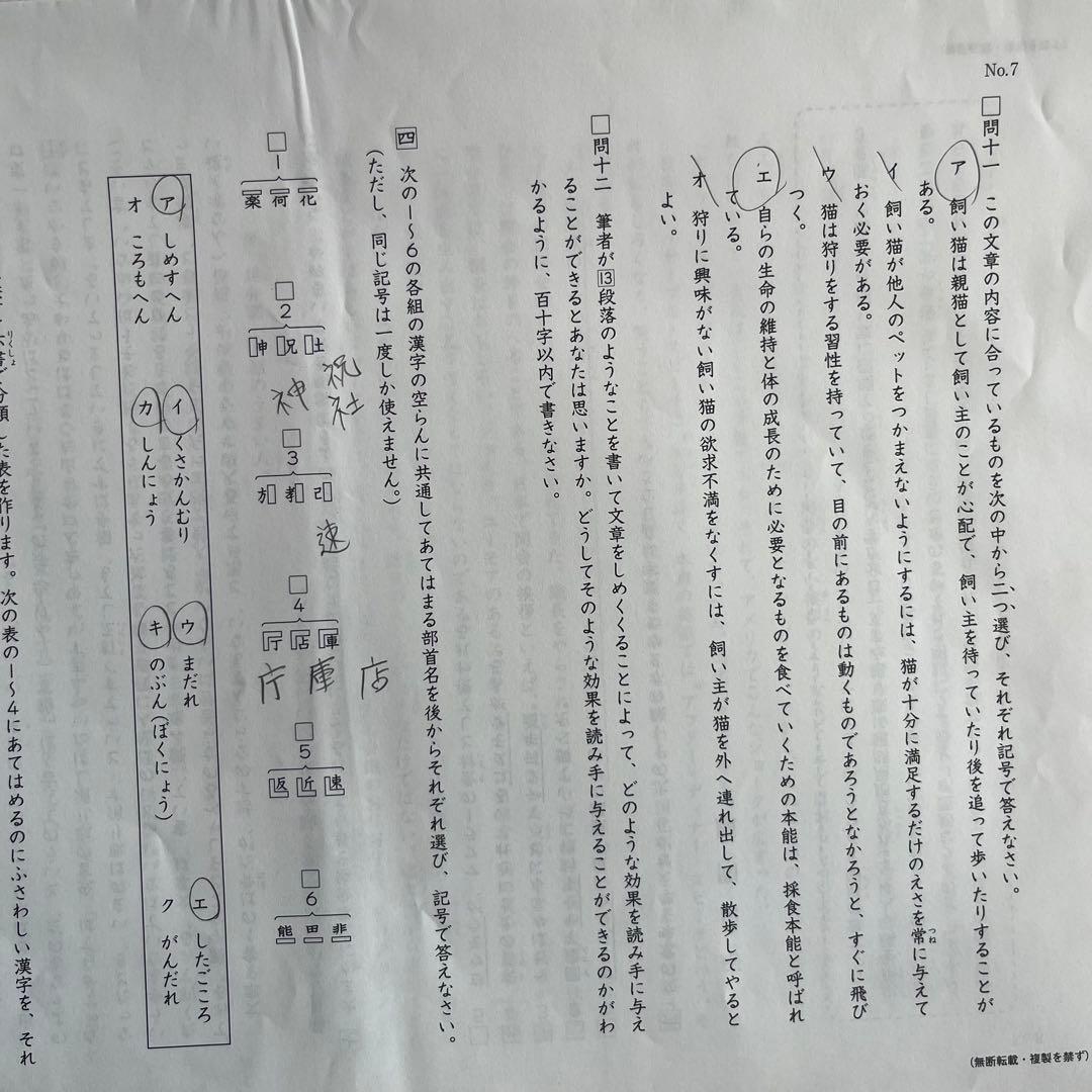日能研 6年生 2024年 学習力育成テスト