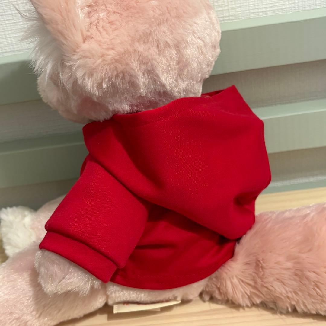 リーナベルコスチューム