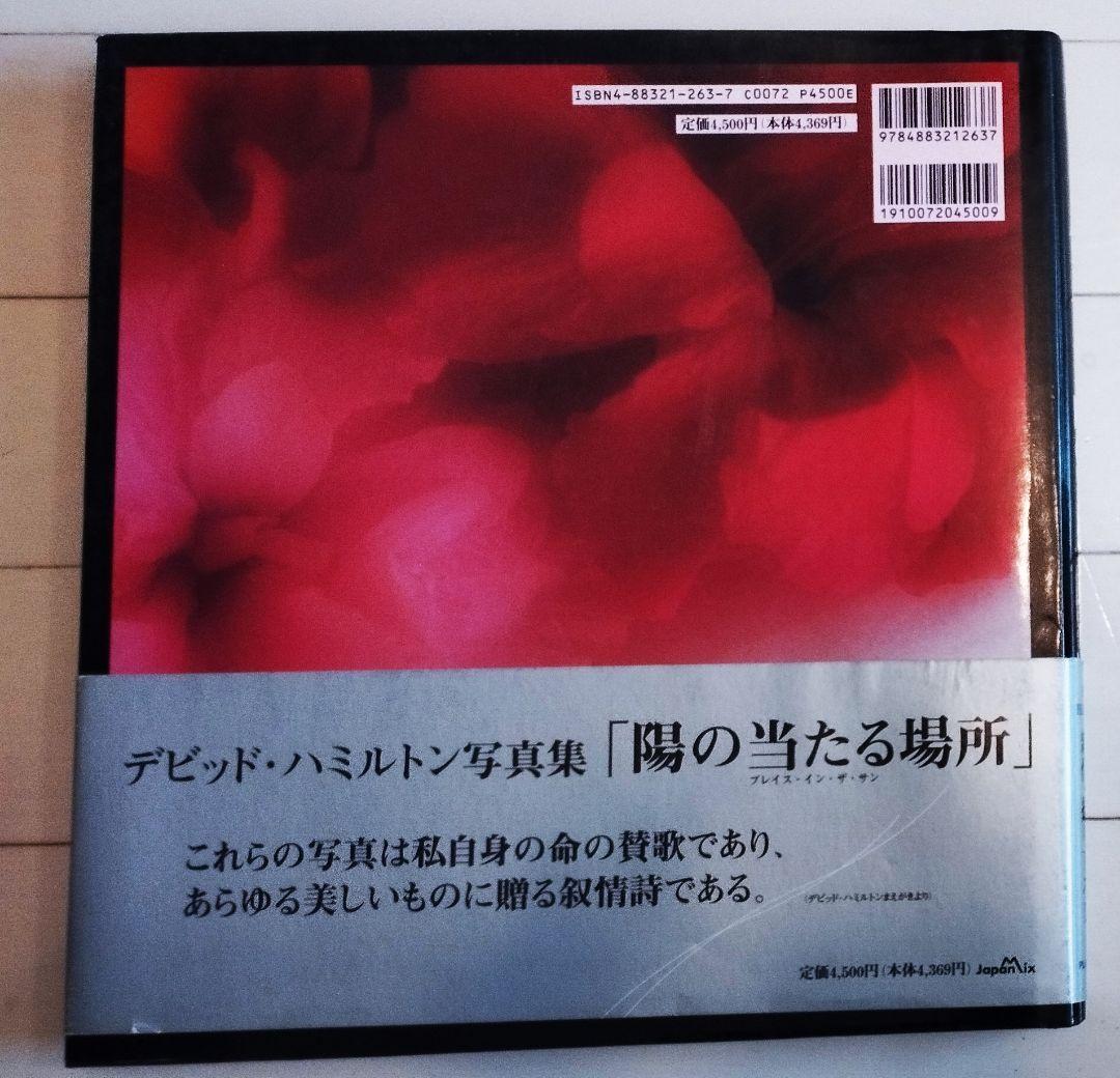 デビッド・ハミルトン写真集「陽の当たる場所」