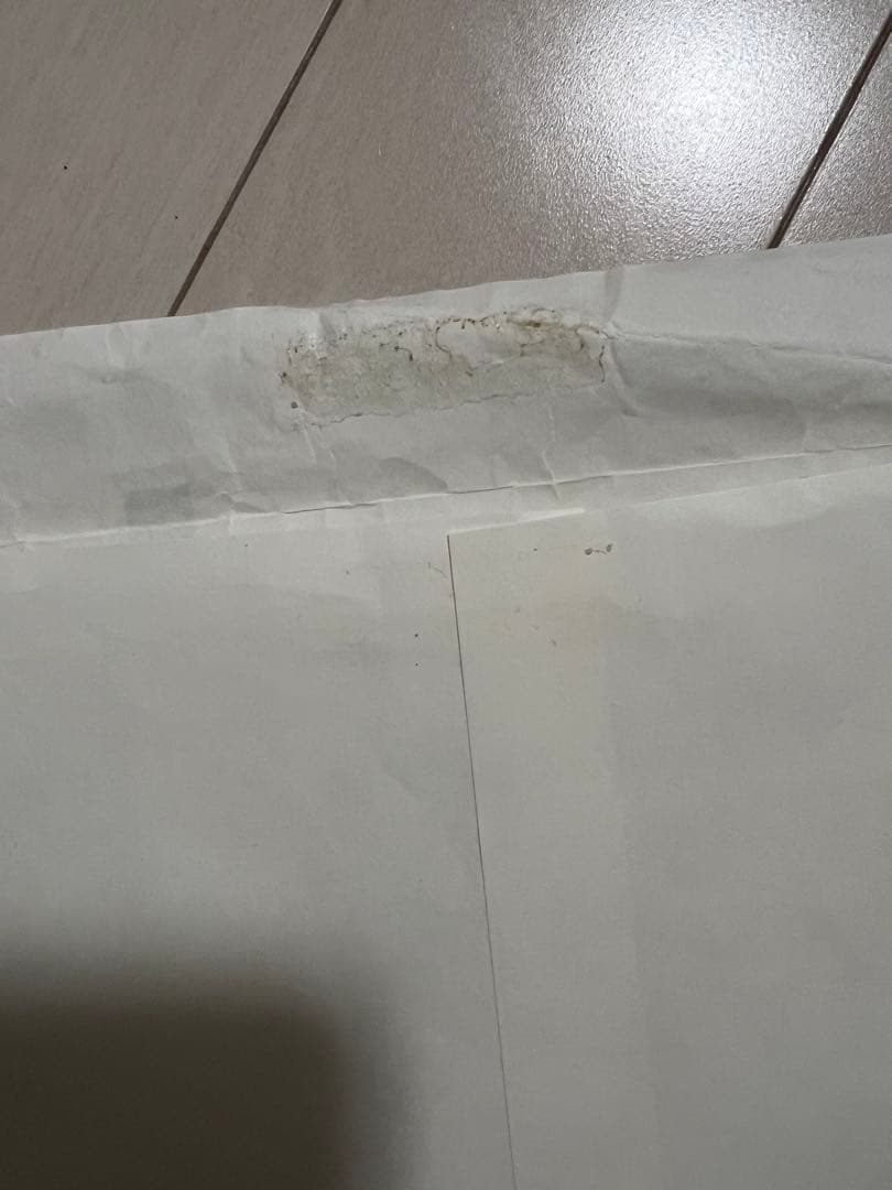 日能研　5年　後期　公開模試　2024 テスト