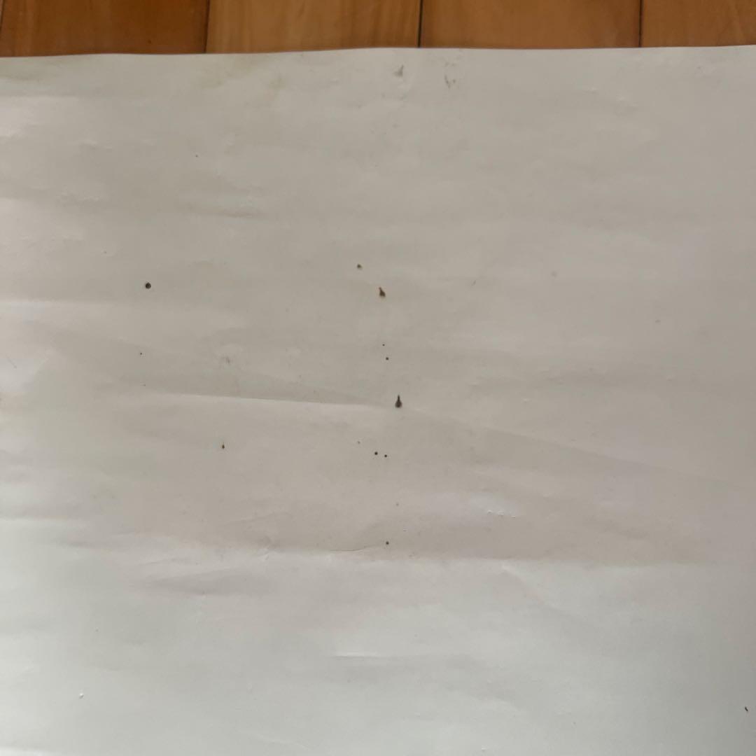 FINAL FANTASY IX ポスター　非売品