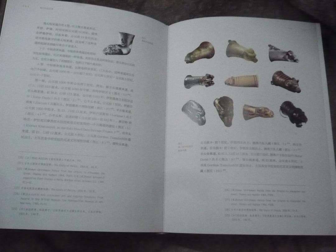 翟门生的世界／吴强华・赵超