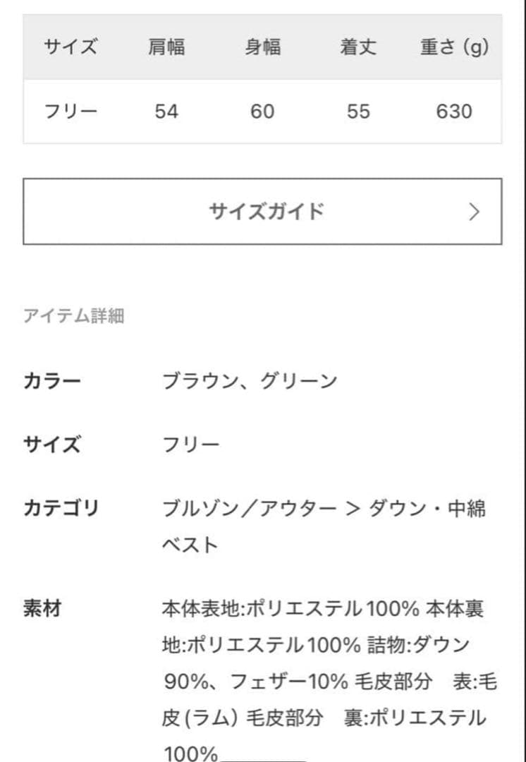 イヴサロモンダウンベスト