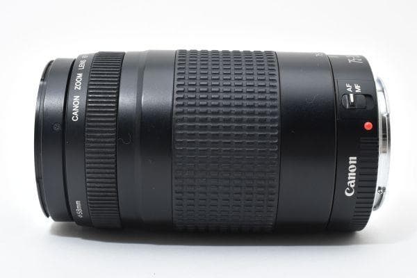 ★美品★キヤノン EF 75-300mm F4-5.6 Ⅱ #635