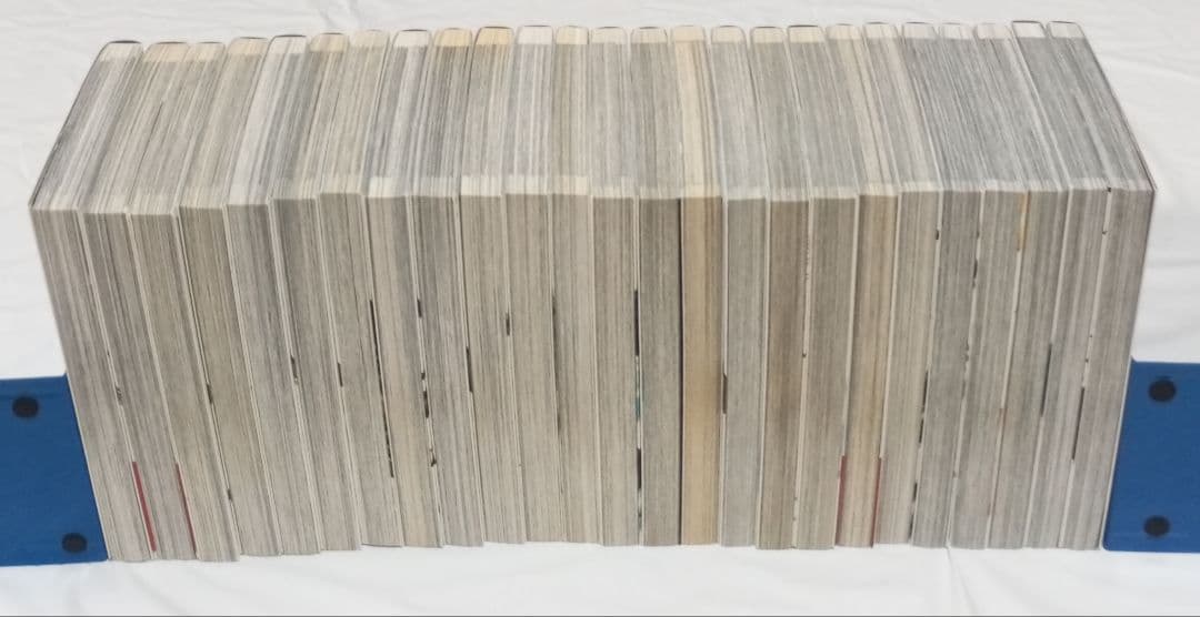 機動戦士ガンダム サンダーボルト　1～25巻　太田垣康男