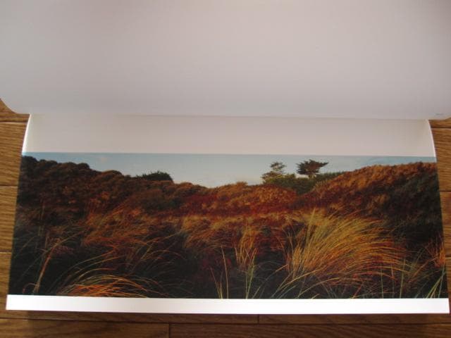 Storm Last Night　津田直　Nao Tsuda　初版