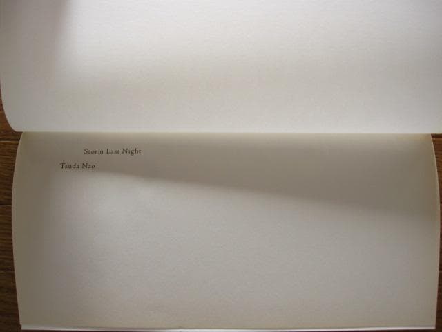 Storm Last Night　津田直　Nao Tsuda　初版