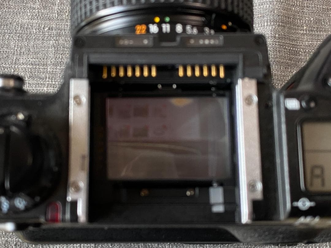 フィルムカメラ Nikon F5 &AF NIKKOR 24-50mm F3.3-4.5D