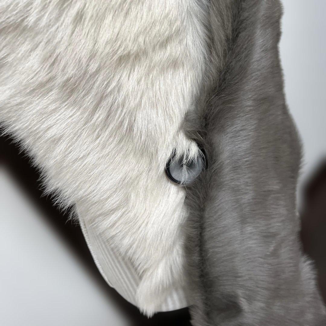 カールドノヒュームートンマフラー☆