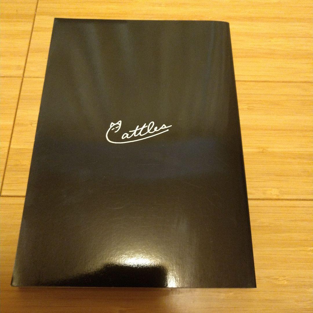 トレードへの取り組み方　キャットルズ　黒猫アイランド