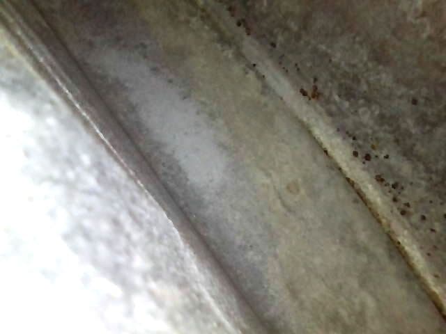 【週末限定！値下げ中】250TR タンク 赤 キャブ車