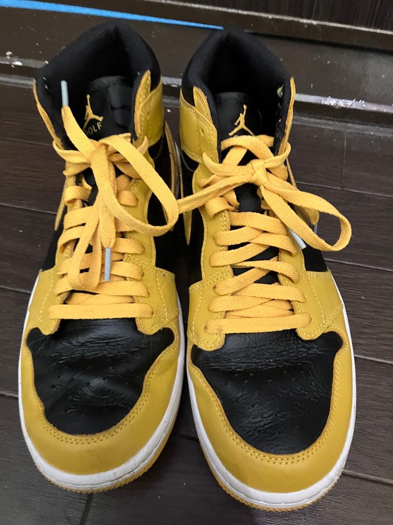 靴 Nike Air Jordan 1 High Golf Pollen27cm