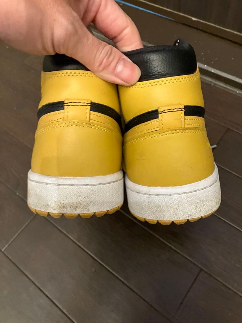 靴 Nike Air Jordan 1 High Golf Pollen27cm