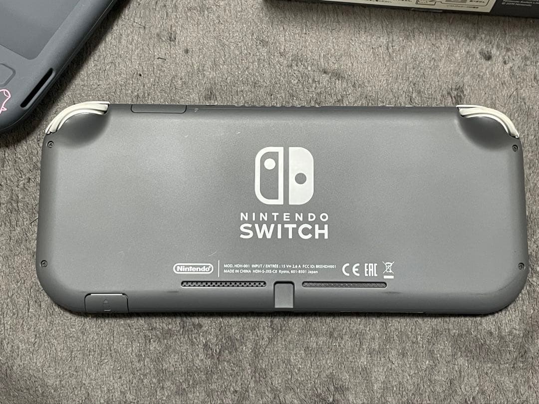 Nintendo Switch Lite 、充電器、SDカード、ケース付き