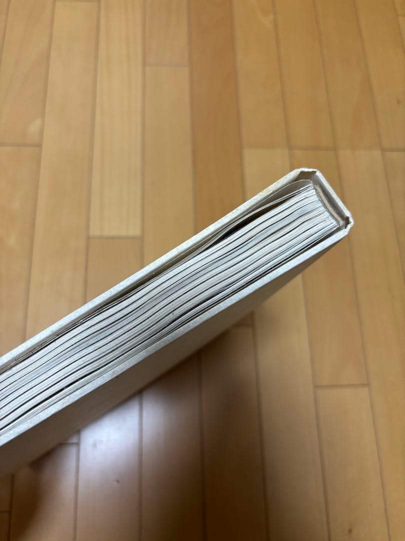 アート・デザイン・音楽 A Decade of Guess? Images 1981 to 1991