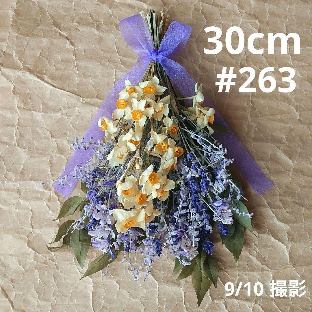 【そさら☆ 】ドライフラワースワッグ10点　B