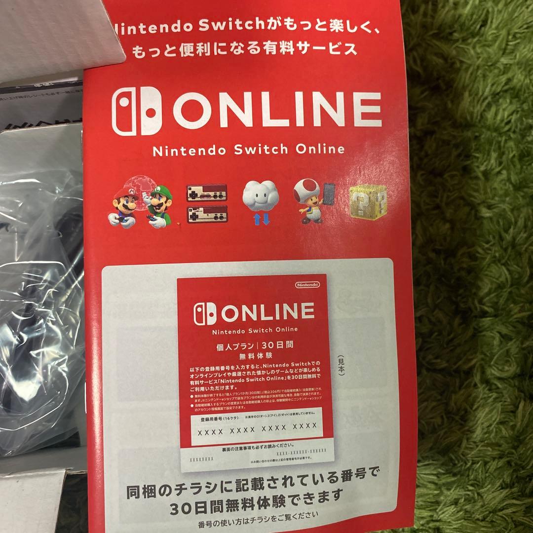 Nintendo Switch Lite グレー 本体 新品未使用 スイッチ