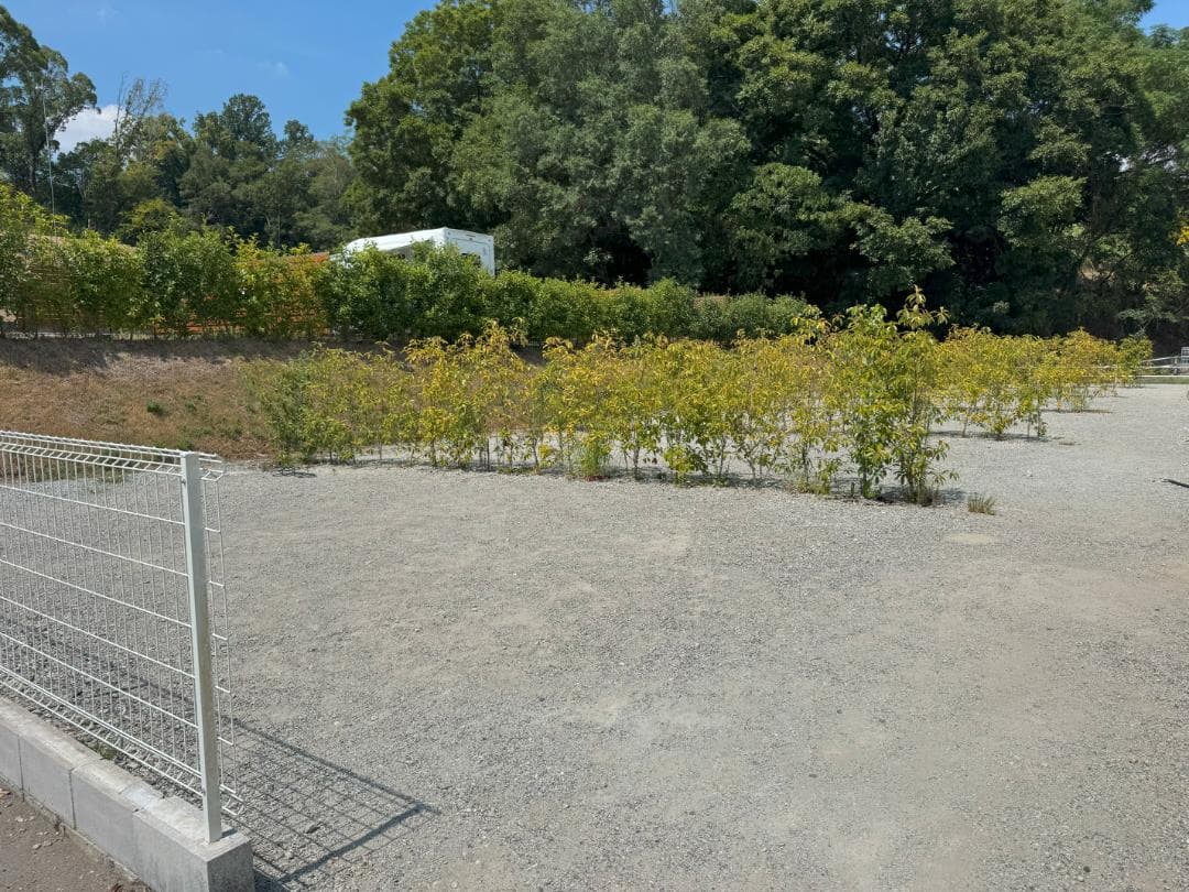 【2022年製・25年購入】ヘキサイーズ 1 + 専用グランドシート【おまけ付】