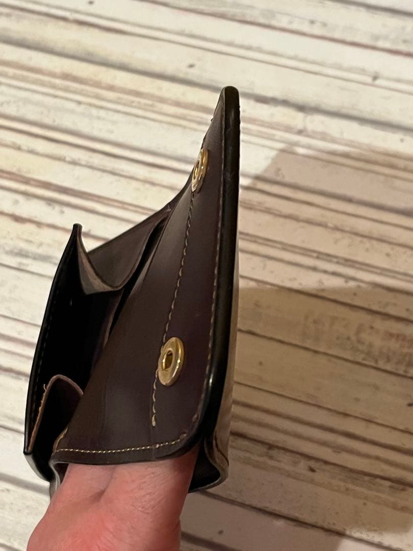 WILD SWANS Palm コードバン　NO.4 【希少カラー】